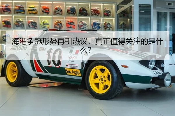 hai-gang-zheng-guan-xing-shi-zai-yin-re-yi-zhen-zheng-zhi-de-guan-zhu-de-shi-shen-me-2-413.jpg